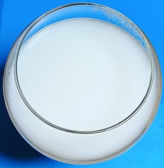 دوغ و پنیر محلی